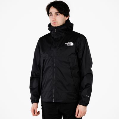 the north face m 1990